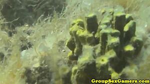 yo these babes get facialed hard on the beach after sucking cock in a wild outdoor blowbang party.