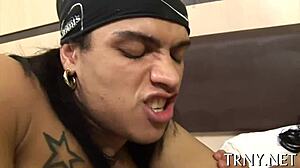 Shemale Assfucking Ass Licking Blowjob Hardcore Contest