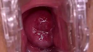 wanna smash this horny shaved squirting big tit pussy or pass?