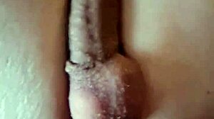 Slutty fat-ass trans Melody sucks rides gapes her hole then cums wildly