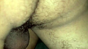Does my stepdaughter's huge tits make you cum?