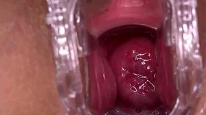 wanna smash this horny shaved squirting big tit pussy or pass?