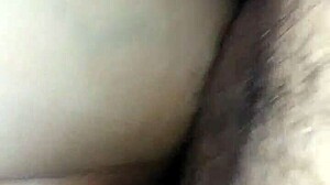 Peruvian Milf Begs for Anal Pounding in Her Tight Vagina