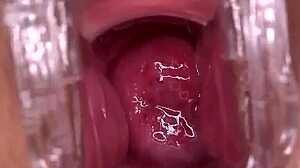 wanna smash this horny shaved squirting big tit pussy or pass?