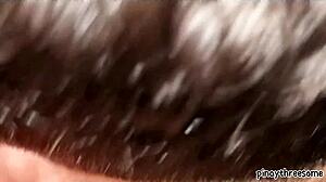 hubby films wife screaming on boyfriend's cock cheating hard