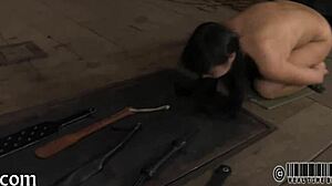 Stormy Canes Naughty Babe Hard