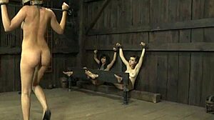 Stormy Canes Naughty Babe Hard