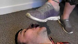 cluck worships filthy sneakers under face trampling