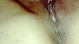 Janvi Bhabhi's Closeup Hardcore Indian Pounding