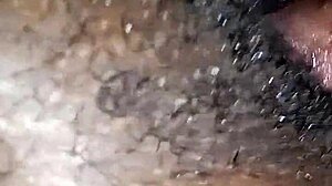What if my friend's curvy wife spreads wet beaver next door?