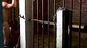 super old grandpa gets flat chested brunette's prison blowjob jizz