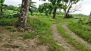 colombian wife flashes panties outdoors, hubby risks extreme public sex close-up