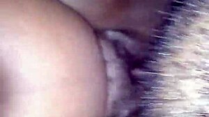 wet black hood queen's fat ass pussy takes dick like a pro