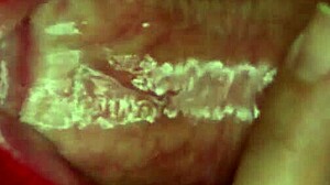 brunette pov cumshot smile swallow