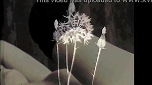 Vintage Hairy Blowjob in Antique Retro Secret Life Scene