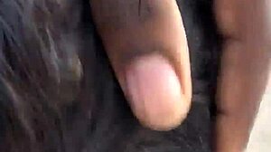 i slurped that thick ebony bbc outdoors hungrily