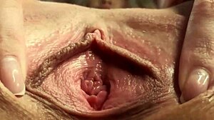 wanna see my neighbor's wet pussy up close?
