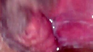 friend's HOT GRANDMA BEGS FOR CLIT VAGINA POUNDING