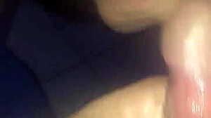 first video escort sucks cock closeup cumshot oral action