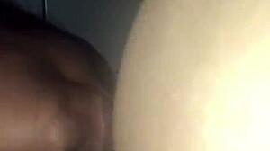 first video escort sucks cock closeup cumshot oral action