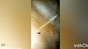 sexy monster black cock shreds see-through babe
