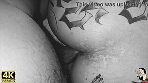 Ex girlfriend came back begging for creampie on my huge cock.