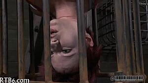 How does angel take that ferocious whipping punishment?