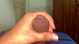 Stepsis, suck my morning wood till you swallow?