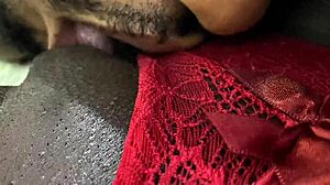 damn that big ass neighbor in red panties wouldn't let me watch the game she just wanted to fuck part 1