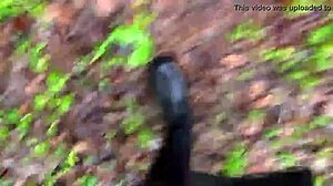 Bella's Shiny Latex Riding Ass Boots Fetish Outdoors