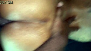 face down ass up as this ebony amateur takes juicy backshots creampie