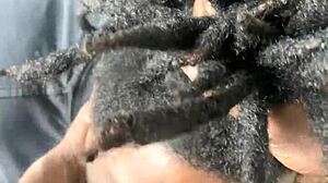 pretty goth with long hair begs for sloppy facial on big dick!