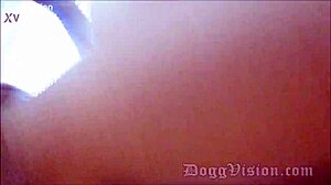why settle for pussy when swinger wife's big ass craves quick interracial anal?