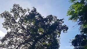 Sexy milf outdoor forest sex with bbc