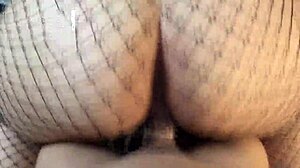 curvy latina babe bent over for crush