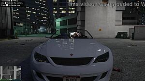 gta 5 hooker service fun