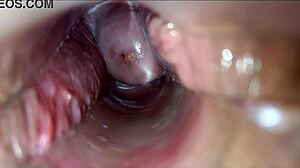 pulsating orgasm inside vagina