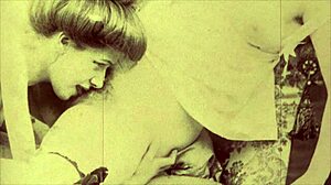 vintage erotic art collection
