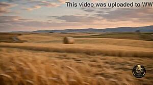 crazy wedding escape i left the bride and stole the truck pov ai generated
