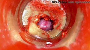 camera in vagina cervix pov tiny 18+ cucked by giant couple cum in pussy and creampie asmr