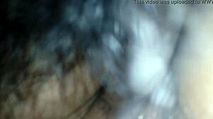 my shemale video