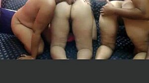 Latinas shake asses hard!