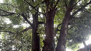 i peed then jerked off again thinking gay thoughts