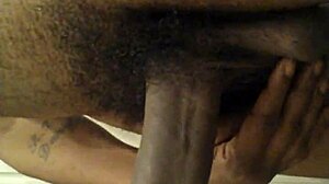 Amateur Video Captured on January 23, 2015!