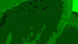 Amateur couple explores intimate moments together