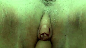 Masturbating sexy wife in intimate session