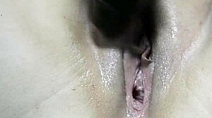 Gulosa Bengala Chat with Indian Vibes Tonight