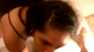 Excellent amateur blowjob performance