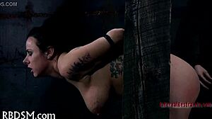 exploring bizarre sadomasochism scenes in this tube video