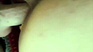 lala loxley gets back shots from nicky pipes